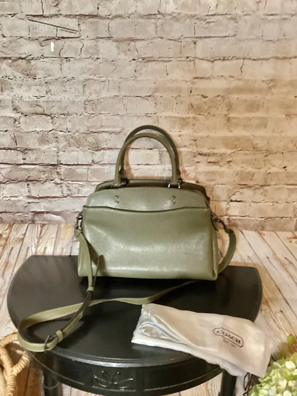 Coach kelp Lillie Carryall Satchel purse